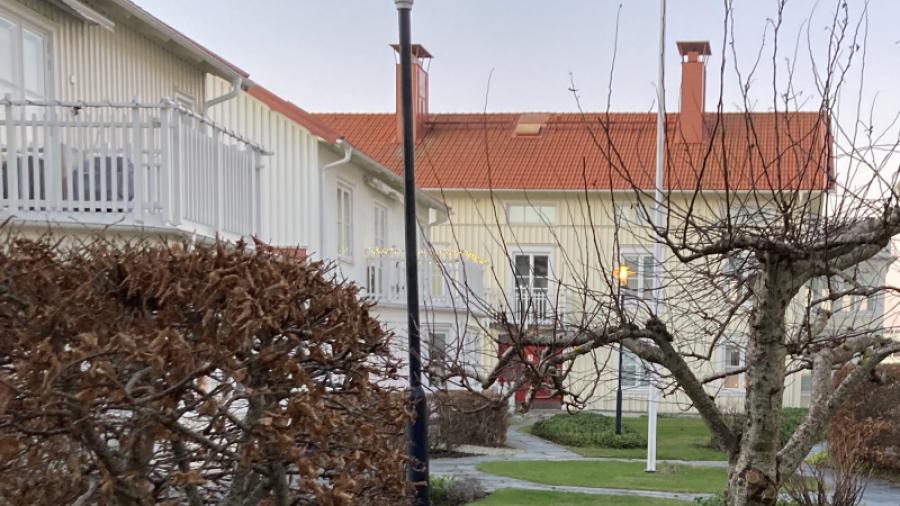 Föreningens innergård